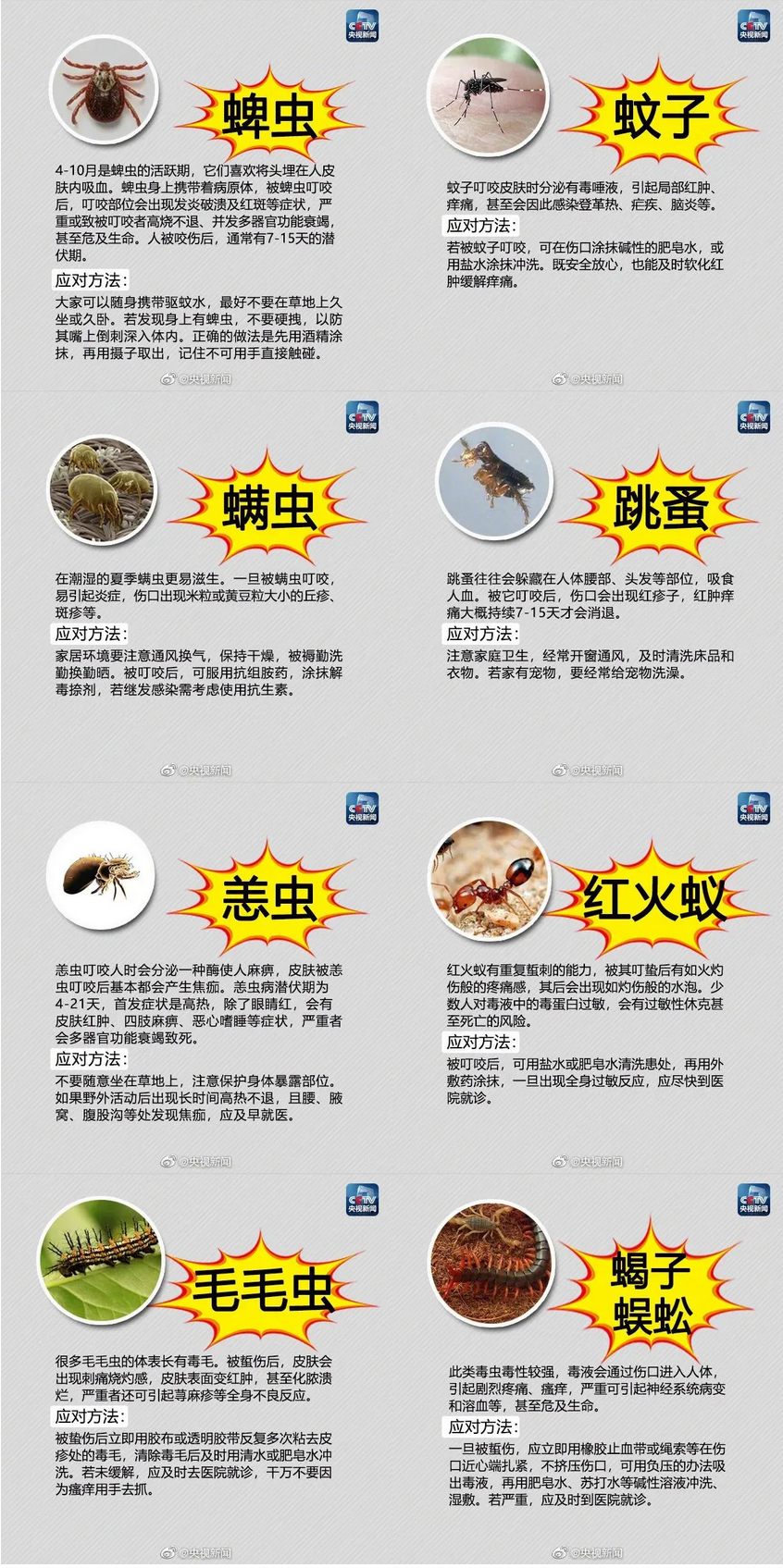 夏季防蟲(chóng)手冊(cè)及應(yīng)對(duì)方法.png